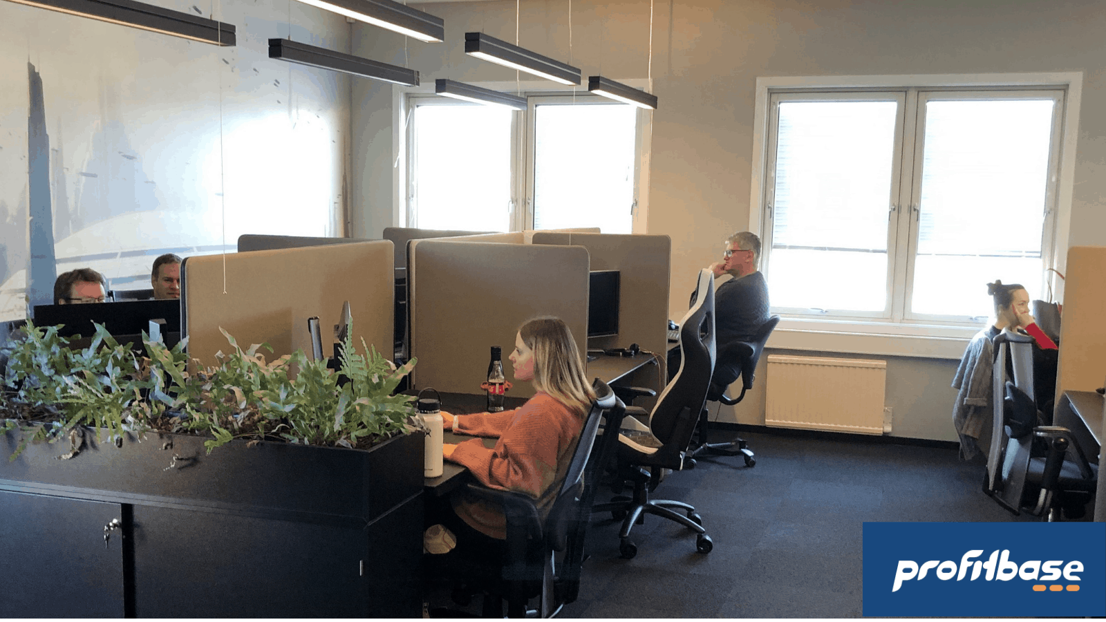 Profitbase kontor